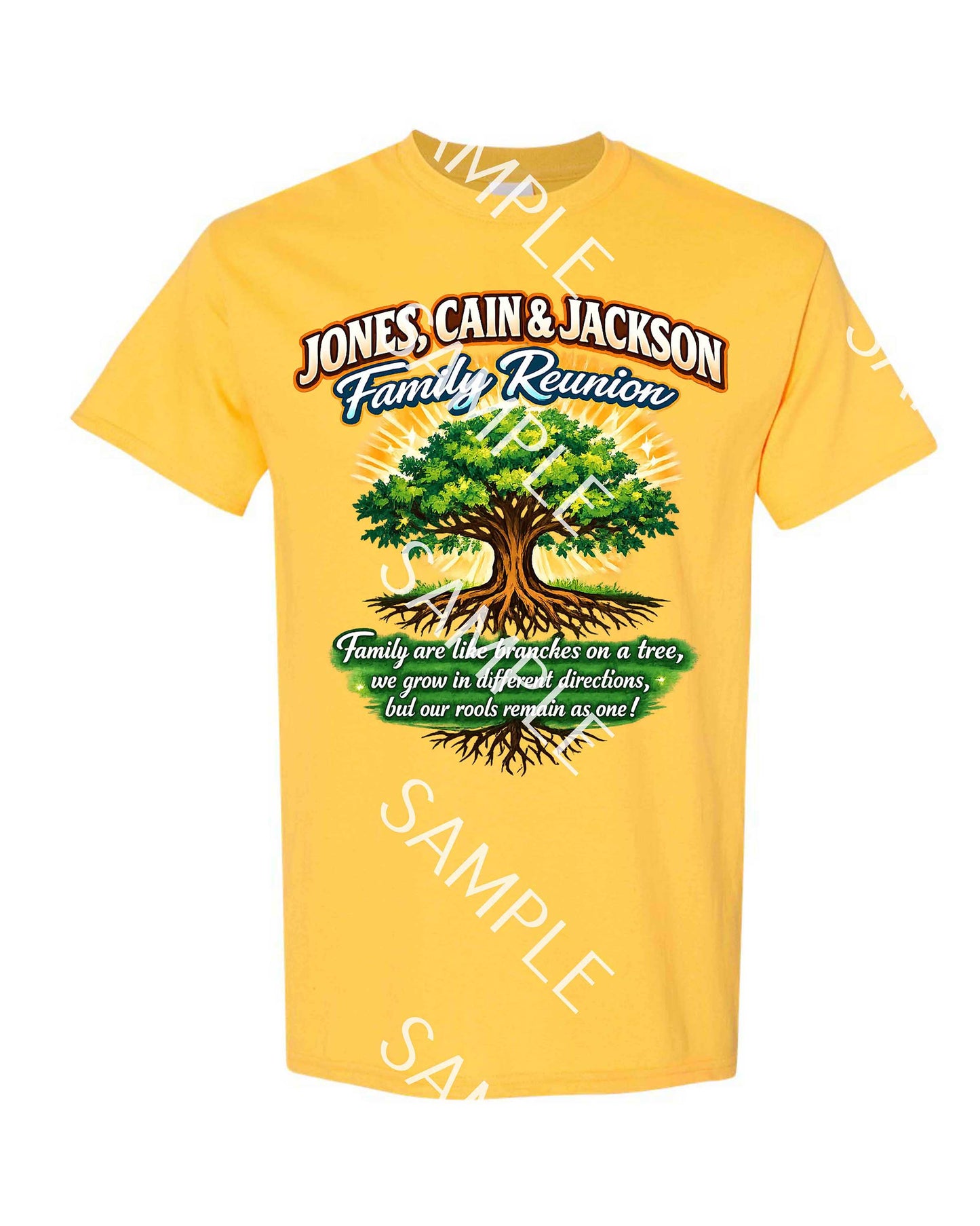 Jones Cain & Jackson Family Reunion